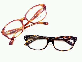 MIU MIU　JILL STUART のべっ甲柄フレーム